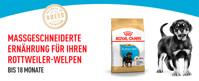 royal-canin-rottweiler-puppy-module-1.jpg